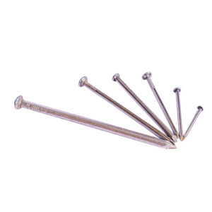 Clavo estándar 2 1/2"